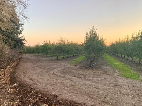 9318 Milnes Rd, Modesto, CA 95357 photo 38