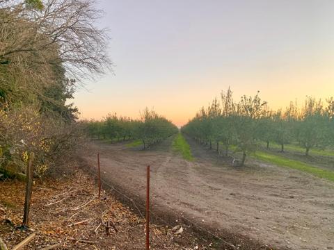 9318 Milnes Rd, Modesto, CA 95357 photo 39