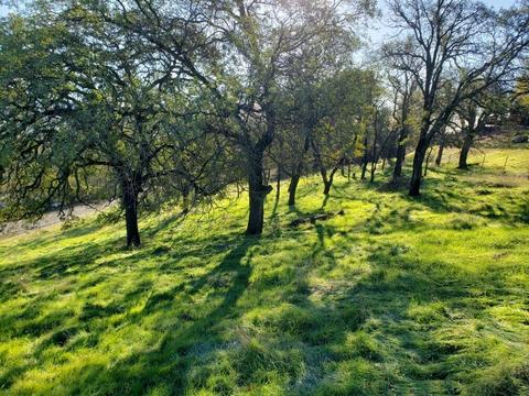 2539 Charmstone Way, Copperopolis, CA 95228 photo 2