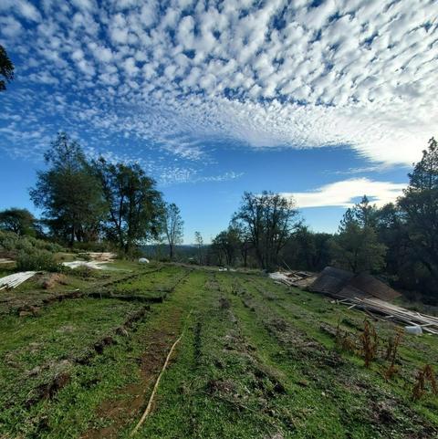 3881 Bear Creek Rd, Georgetown, CA 95634 photo 1