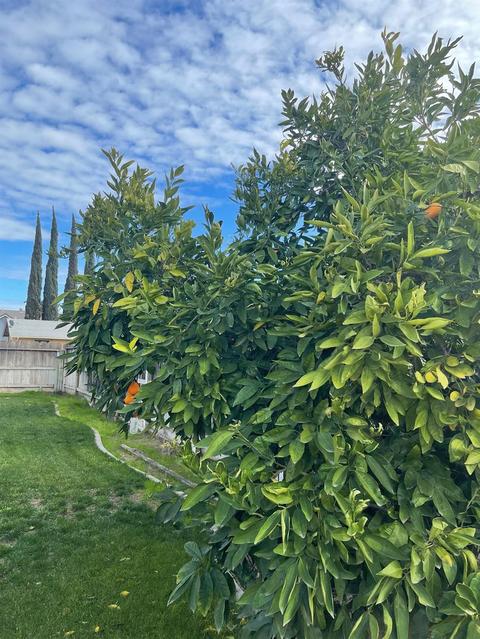 1740 Joel Way, Ceres, CA 95307 photo 17