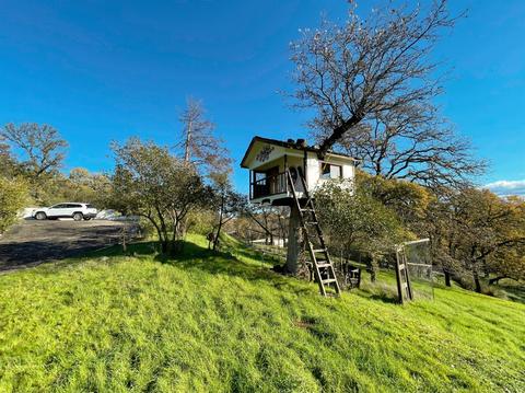 14492 Carriage Ln, Red Bluff, CA 96080 photo 9
