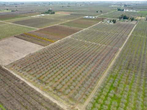 9431 E Whitmore Ave, Hughson, CA 95326 photo 75