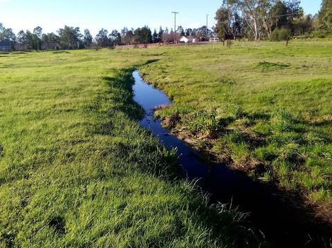 11940 Rising Rd, Wilton, CA 95693 photo 60