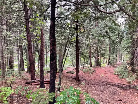 1526 Seminole, Arnold, CA 95223