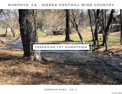 129 Murphys Oaks Dr, Murphys, CA 95247 photo 1