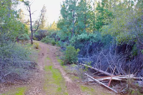 4600 Esmeralda Rd, Murphys, CA 95247 photo 10