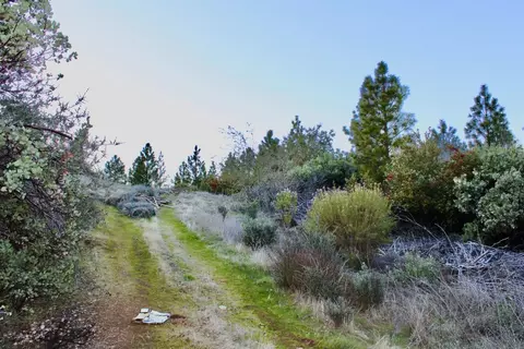 4600 Esmeralda Rd, Murphys, CA 95247 photo 31