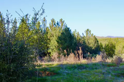 4600 Esmeralda Rd, Murphys, CA 95247 photo 7
