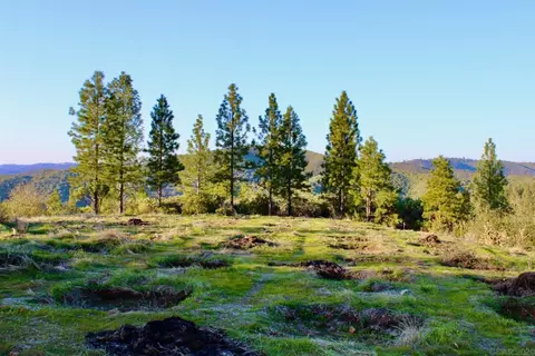 4600 Esmeralda Rd, Murphys, CA 95247 photo 20