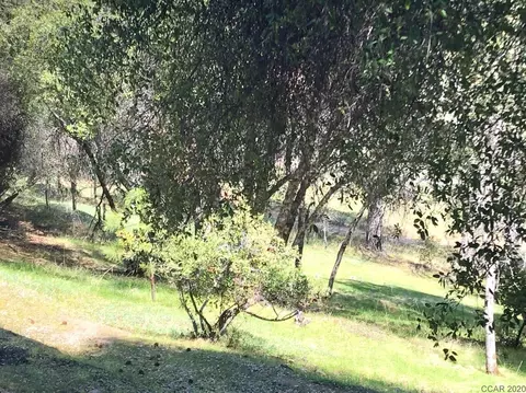 8220 Sheep Ranch Rd, Mountain Ranch, CA 95246 photo 26