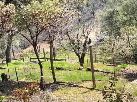 8220 Sheep Ranch Rd, Mountain Ranch, CA 95246 photo 25