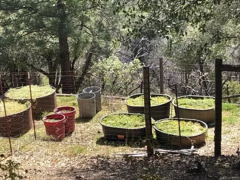 8220 Sheep Ranch Rd, Mountain Ranch, CA 95246 photo 23
