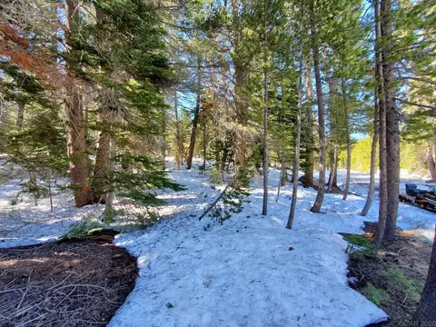 27 Orvis, Bear Valley, CA 95223 photo 1