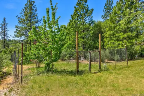 3999 Pennsylvania Gulch, Murphys, CA 95247 photo 34