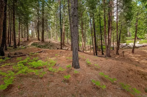 1407 Pebble Beach Way, Arnold, CA 95223 photo 6