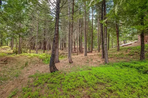 1407 Pebble Beach Way, Arnold, CA 95223 photo 4