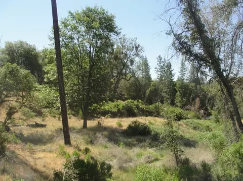 16741 Joy Rd, Mountain Ranch, CA 95246 photo 7