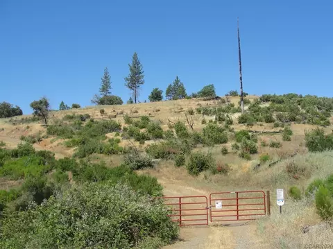16741 Joy Rd, Mountain Ranch, CA 95246 photo 1