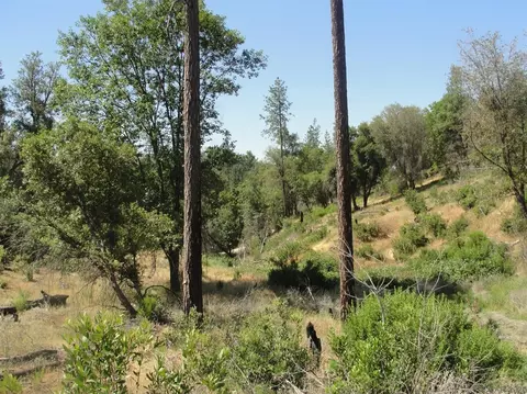16741 Joy Rd, Mountain Ranch, CA 95246 photo 6