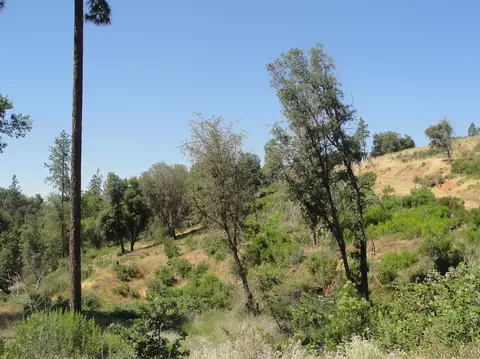 16741 Joy Rd, Mountain Ranch, CA 95246 photo 2
