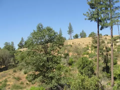 16741 Joy Rd, Mountain Ranch, CA 95246 photo 4