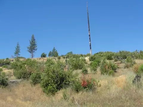 16741 Joy Rd, Mountain Ranch, CA 95246 photo 9