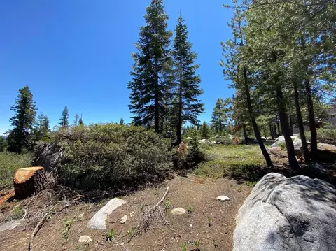 449 Juniper Cir, Tamarack, CA 95223 photo 3