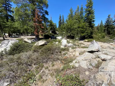 449 Juniper Cir, Tamarack, CA 95223 photo 4