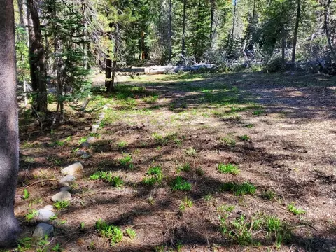 34 Silvertip Dr, Arnold, CA 95223 photo 21
