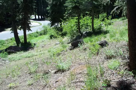 46 Schimke Rd, Bear Valley, CA 95223 photo 2