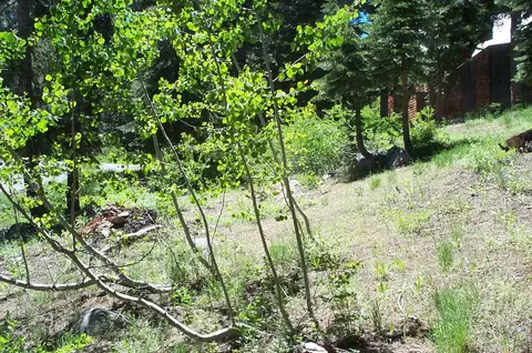 46 Schimke Rd, Bear Valley, CA 95223 photo 3