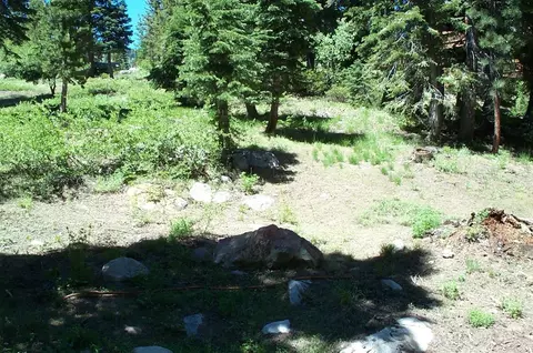 46 Schimke Rd, Bear Valley, CA 95223 photo 5