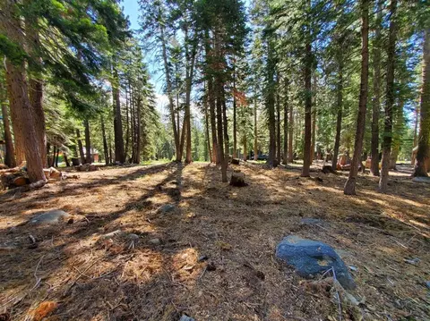 1453 Alpine Vista Vis, Skyhigh, CA 95223 photo 3