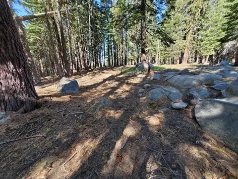 1453 Alpine Vista Vis, Skyhigh, CA 95223 photo 5