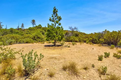 1990 Pennsylvania Gulch Rd, Murphys, CA 95247 photo 21