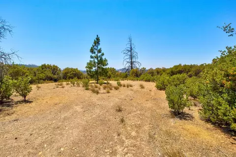 1990 Pennsylvania Gulch Rd, Murphys, CA 95247 photo 20
