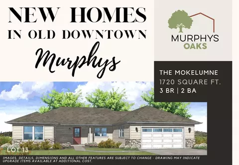 101 Emerald Ct, Murphys, CA 95247 photo 1