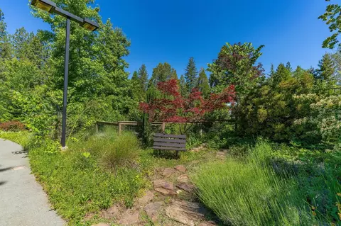 1214 Laurel Ln, Murphys, CA 95247 photo 40