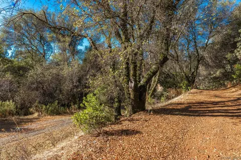 8940 Lauren Lane Ln, Jackson, CA 95642 photo 27