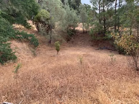 3345 Canyon Ct, Murphys, CA 95247 photo 8