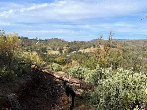 6308 Mountain Ranch Rd, Mountain Ranch, CA 95246 photo 6