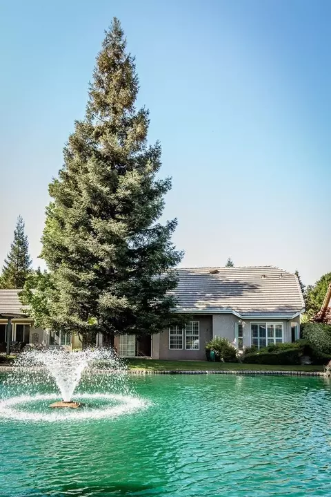 2242 Dawson Cove Ln, Clovis, CA 93611 photo 36