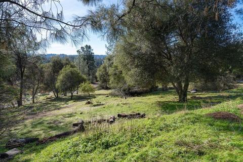 2699 Riffle Ct, Placerville, CA 95667 photo 25