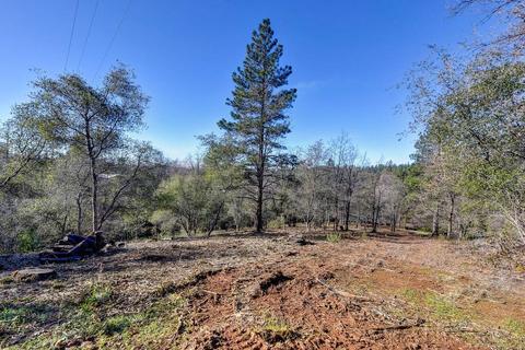 9801 Mosquito Rd, Placerville, CA 95667 photo 75