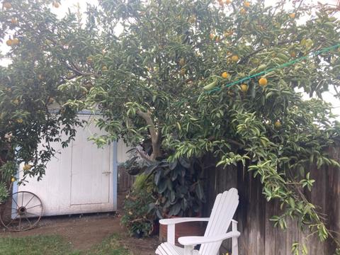 5505 Tanya Way, Keyes, CA 95328 photo 24