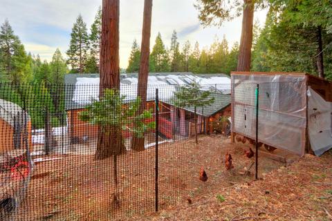 7111 Pine Cone Dr, Pollock Pines, CA 95726 photo 37