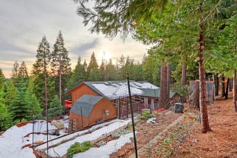 7111 Pine Cone Dr, Pollock Pines, CA 95726 photo 5