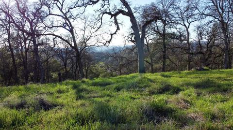 4700 Casual Ct, Placerville, CA 95667 photo 32