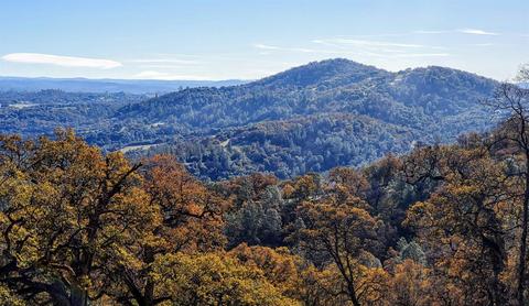 4700 Casual Ct, Placerville, CA 95667 photo 5